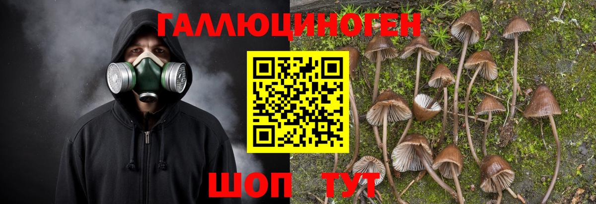 Галлюциногенные грибы Magic Shrooms Лобня