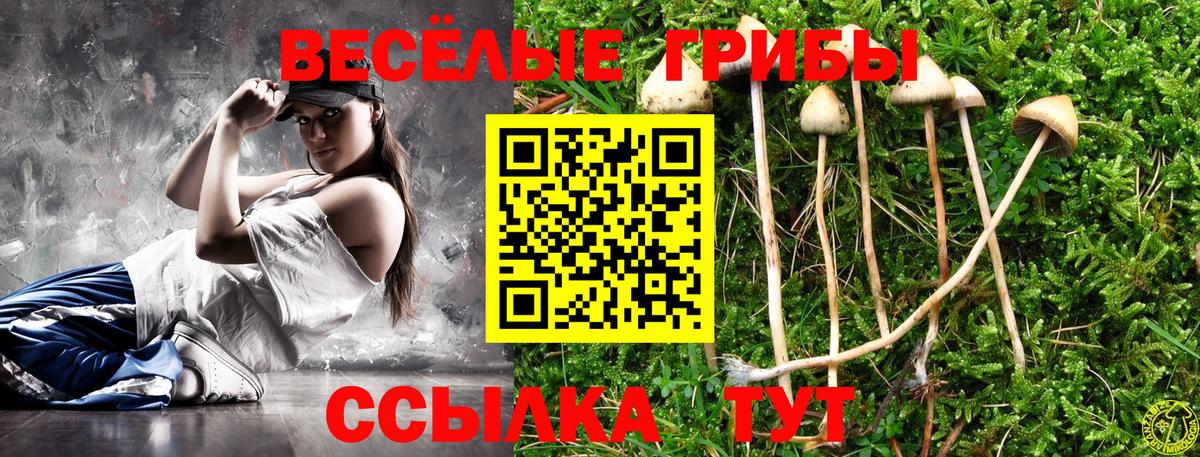 где можно купить   Псилоцибиновые грибы мицелий  Вход с VPN  Лобня 
